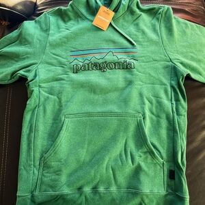 Patagonia Men's Hoodie in Vibrant Green